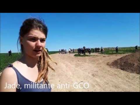 Pfettisheim: des opposants au GCO délogés, une dizaine d'interpellations