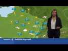 La m&eacute;t&eacute;o du jeudi 11 avril 2019 - Label : Les Dernières Nouvelles d'Alsace - Category : News