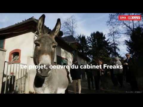 Réouverture de la mini ferme de l'orangerie strasbourg