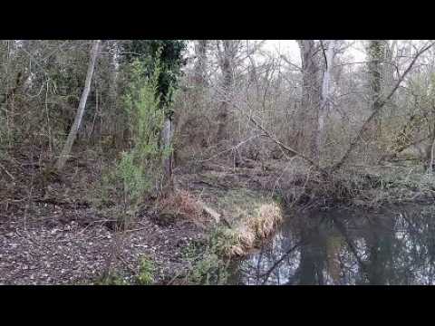 Syndrome du manque de nature : un espace pour les 0-6 ans au Moulin Nature de Lutterbach
