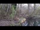 Syndrome du manque de nature : un espace pour les 0-6 ans au Moulin Nature de Lutterbach - Label : Les Dernières Nouvelles d'Alsace - Category : News