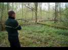 Interview de Kevin Lemaire, agent de l'Office national des forêts