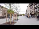 R&eacute;am&eacute;nagement des quais &agrave; Strasbourg : zone de rencontre et de d&eacute;tente - Label : Les Dernières Nouvelles d'Alsace - Category : News