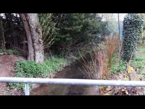 DNA - Syndrome du manque de nature : un espace pour les 0-6 ans au Moulin Nature de Lutterbach