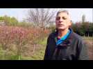 Eckbolsheim - Label : Les Dernières Nouvelles d'Alsace - Category : News