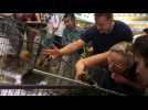 Salon du chiot &agrave; Epinal - Label : Vosges Matin - Category : News