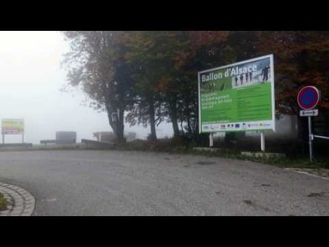 Transhumance au Ballon d'Alsace dimanche 11 octobre