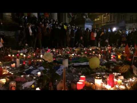 bruxelles jour 2.mp4