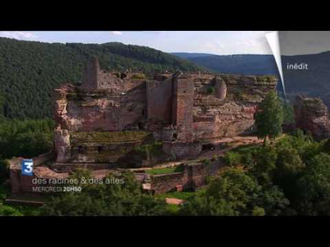 Des Racines et des ailes dans les Vosges