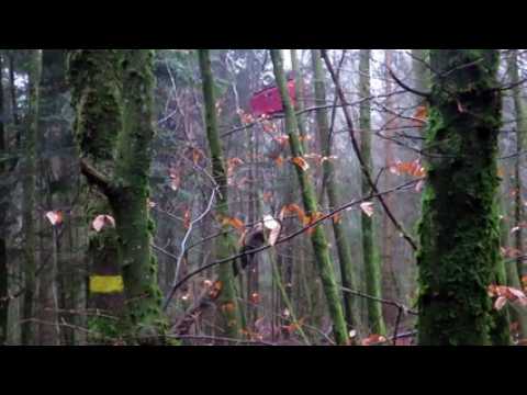Saint-Nabord : les habitants découvrent le débardage par cable aérien dans la forêt