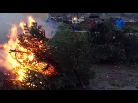 Vosges : les sapins de Noël de Bussang embrasés après les fêtes