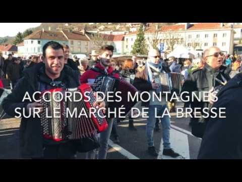 Les accordéonistes jouent au marché de La Bresse pour lancer le festival Accords des montagnes