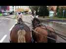La cal&egrave;che de No&euml;l dans les rues d'Epinal - Label : Vosges Matin - Category : News