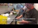 Dans les coulisses de la fabrication de la galette