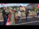 Loi travail : près de 1000 personnes manifestent à Epinal