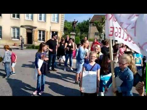 Vosges : la mobilisation pour lutter contre la fermeture du collège de Darney en...