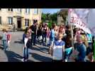 Vosges : la mobilisation pour lutter contre la fermeture du collège de Darney en...