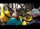 Le première mini-fête des jonquilles à Waremme en Belgique