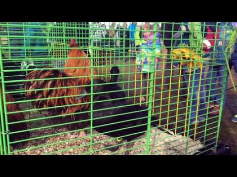 La 54e édition de la Foire de Padoux