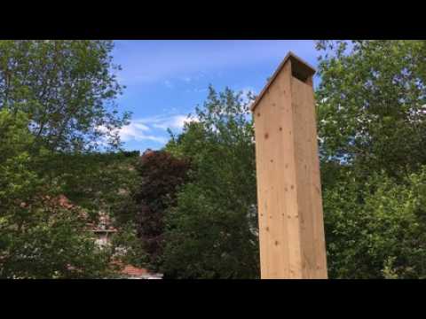 Trois ruches inaugurées au centre-ville d'Epinal