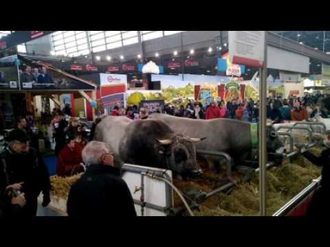 Ambiance au salon de l'agriculture de Paris