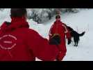Les Journ&eacute;es de pr&eacute;vention des accidents de ski se d&eacute;roulent les 2 et 3 f&eacute;vrier. - Label : Vosges Matin - Category : News
