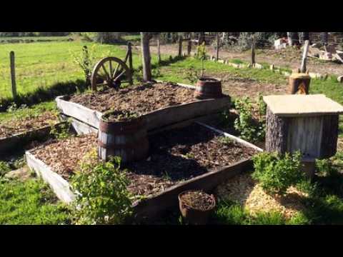 Construire son jardin au naturel