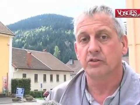 Le loup des Vosges est-il de retour ?