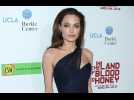 Angelina Jolie's son to study in South Korea