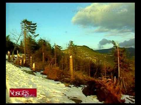 La tempête dans les Vosges, il y a dix ans