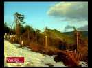 La tempête dans les Vosges, il y a dix ans