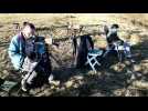 Au Markstein, compter les oiseaux migrateurs - Label : L'Alsace - Category : News