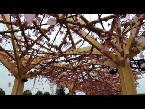 Dans les allées du plus grand des jardins de Folie’Flore