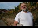 Une r&eacute;colte "fantastique" - Label : L'Alsace - Category : News