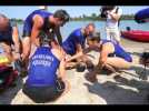 Exercice de sauvetage au Lac Achard à Illkirch