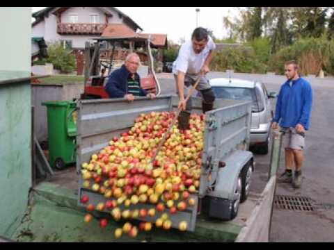 2018, année à pommes "exceptionnelle"