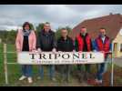 Courtier en vins - Label : L'Alsace - Category : News