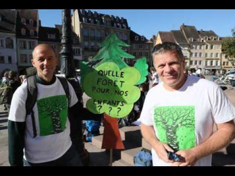 Marche pour la forêt: "on doit avoir une vision sur le long terme"