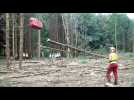 Sundgau : le d&eacute;bardage par c&acirc;ble - Label : L'Alsace - Category : News