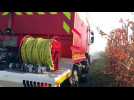 Plusieurs hectares en feu à Ensisheim