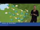 Un jeudi ensoleill&eacute; sur l'Alsace - Label : Les Dernières Nouvelles d'Alsace - Category : News