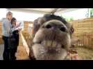 Foir'expo: un saut &agrave; l'Arche des animaux - Label : L'Alsace - Category : News