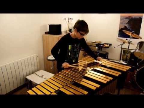 Florentin Klingelschmitt au vibraphone