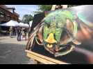 Les abeilles à la loupe à Strasbourg