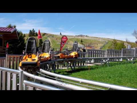 Luge d'été au Markstein : attention, ça glisse !
