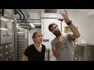 Premi&egrave;res bouteilles pour la micro-brasserie des Halles nature - Label : L'Alsace - Category : News