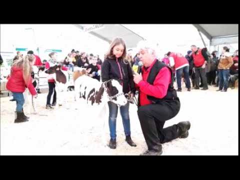 À Habsheim, les vaches défilent pour Simon et Jude