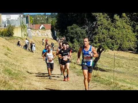 Courses du Jura alsacien: le trail de 15 km