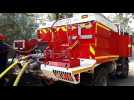 Feu de forêt à Wittelsheim - vidéo L'Alsace