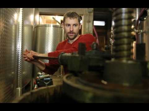 Un pinot noir alsacien gorgé de soleil indien